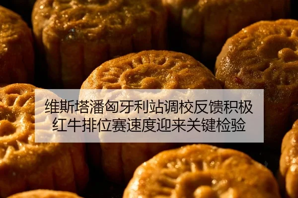 维斯塔潘匈牙利站调校反馈积极 红牛排位赛速度迎来关键检验